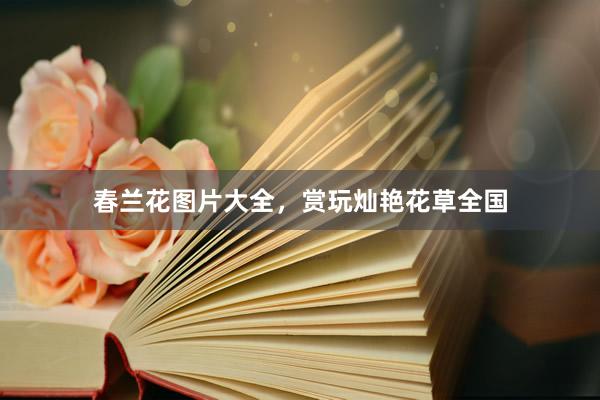 春兰花图片大全，赏玩灿艳花草全国